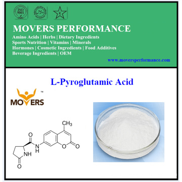 Hot Sell L-Pyroglutamic Acid with Best Price